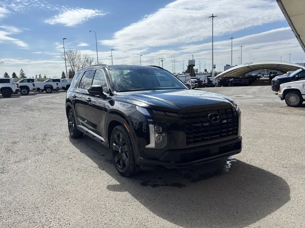 Hyundai PALISADE снимка Hyundai PALISADE