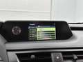 Lexus UX 250h AWD Business Line Gris - thumbnail 20