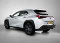 Lexus UX 250h AWD Business Line Gris - thumbnail 47