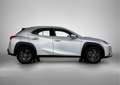 Lexus UX 250h AWD Business Line Gris - thumbnail 12