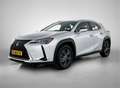 Lexus UX 250h AWD Business Line Gris - thumbnail 34