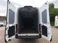Ford Transit Kasten 2.0 TDCi 350 L4 RWD Sync4 , Kamera SHZ Білий - thumbnail 12