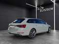Skoda Superb Combi TDI Sportline DSG Matrix Navi AID ACC SH 19" Grau - thumbnail 5