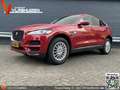 Jaguar F-Pace 2.0 Prestige E-Performance 20d | € 9.900,- NETTO! Roşu - thumbnail 1