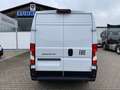 Fiat Ducato KASTENWAGEN 35 L3H2 140 MT Biały - thumbnail 5