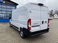 Fiat Ducato KASTENWAGEN 35 L3H2 140 MT Alb - thumbnail 10