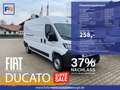 Fiat Ducato KASTENWAGEN 35 L3H2 140 MT Alb - thumbnail 1