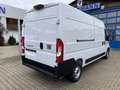 Fiat Ducato KASTENWAGEN 35 L3H2 140 MT Alb - thumbnail 4