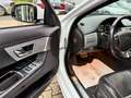 Jaguar XF 2.2d R-Sport 20k Reparaturrechnung dabei Weiß - thumbnail 11