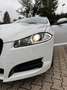 Jaguar XF 2.2d R-Sport 20k Reparaturrechnung dabei Weiß - thumbnail 19