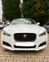 Jaguar XF 2.2d R-Sport 20k Reparaturrechnung dabei Weiß - thumbnail 20