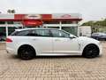 Jaguar XF 2.2d R-Sport 20k Reparaturrechnung dabei Weiß - thumbnail 3