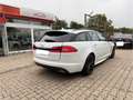 Jaguar XF 2.2d R-Sport 20k Reparaturrechnung dabei Weiß - thumbnail 4