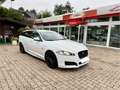 Jaguar XF 2.2d R-Sport 20k Reparaturrechnung dabei Weiß - thumbnail 2