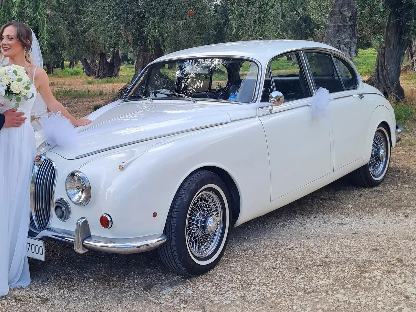 Jaguar MK II 240 Targa Oro ASI Biały - 1
