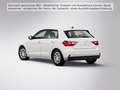 Audi A1 25 TFSI 8-fach bereift Blanc - thumbnail 6