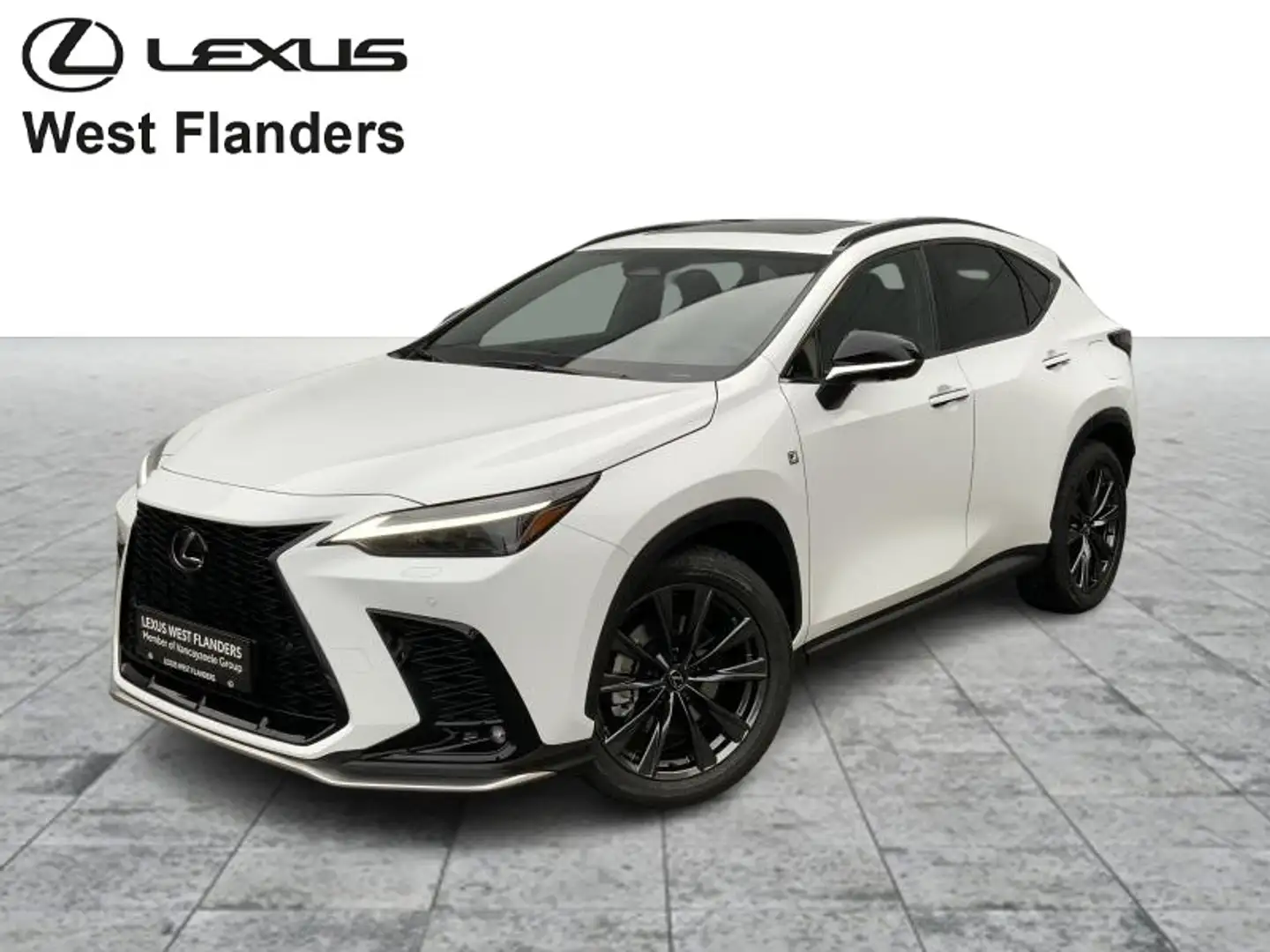 Lexus NX 450h+ F SPORT Line+360°+navi+sensore Blanc - 1