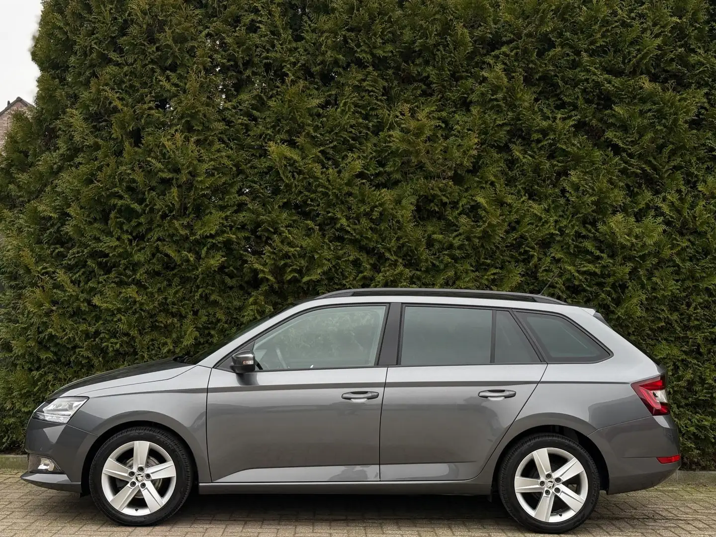 Skoda Fabia Combi 1.0 TSI Edition CarPlay LED Stoelverwarming Gris - 2