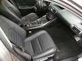 Lexus IS 300 IS Hybrid Luxury.  IVA ESPOSTA!! Grau - thumbnail 11