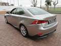 Lexus IS 300 IS Hybrid Luxury.  IVA ESPOSTA!! Grijs - thumbnail 6