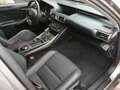 Lexus IS 300 IS Hybrid Luxury.  IVA ESPOSTA!! Grau - thumbnail 12