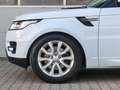 Land Rover Range Rover Sport SE PANO|HIFI|ASSISTENZ-PAKET Weiß - thumbnail 3
