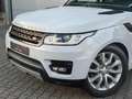 Land Rover Range Rover Sport SE PANO|HIFI|ASSISTENZ-PAKET Weiß - thumbnail 2