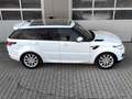 Land Rover Range Rover Sport SE PANO|HIFI|ASSISTENZ-PAKET Weiß - thumbnail 10