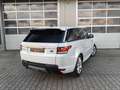 Land Rover Range Rover Sport SE PANO|HIFI|ASSISTENZ-PAKET Weiß - thumbnail 9