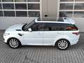Land Rover Range Rover Sport SE PANO|HIFI|ASSISTENZ-PAKET Weiß - thumbnail 4