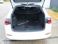 Volkswagen Golf Variant VIII Variant Style 1.5 TSI ACT**STHZ** Bianco - thumbnail 15