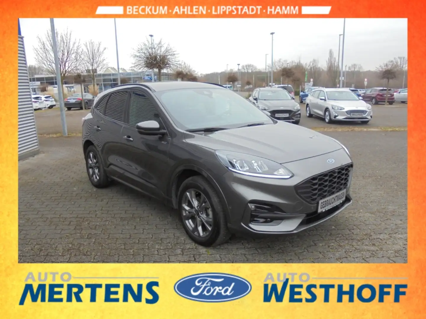 Ford Kuga ST-Line 2.5 PHEV Kamera Winter-Paket GJR Gris - 2
