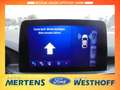 Ford Kuga ST-Line 2.5 PHEV Kamera Winter-Paket GJR Gris - thumbnail 9