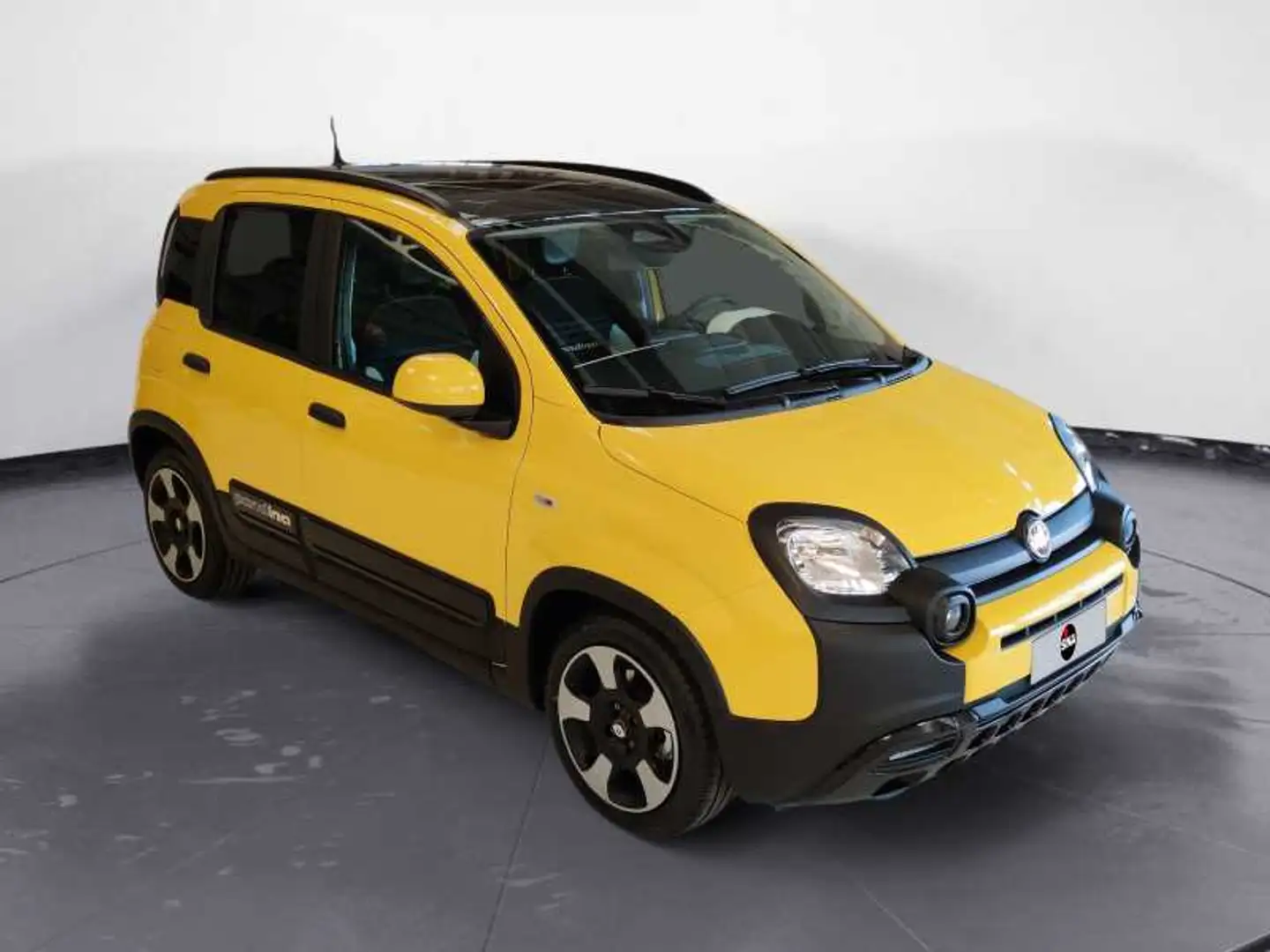 Fiat Panda My25 1.0 70cv Hybrid Pandina Giallo - 2