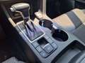 Kia Sportage 2.0crdi 136cv AWD AUT. Rebel my17 Bianco - thumbnail 11