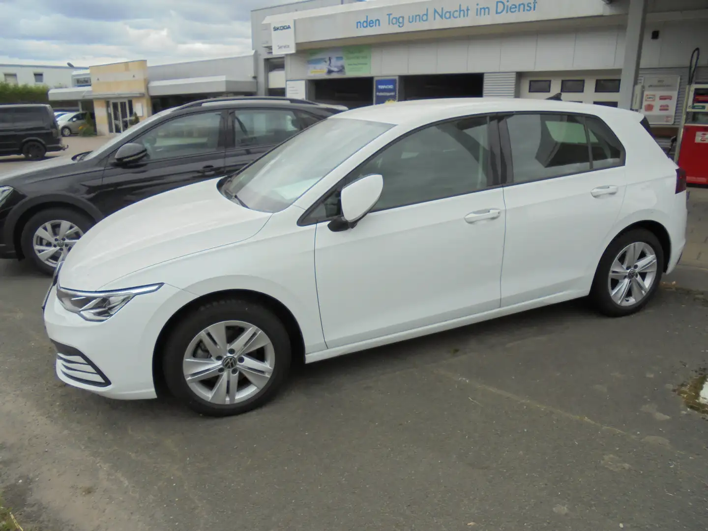 Volkswagen Golf Life 1,0 TSI  6-Gang Weiß - 2