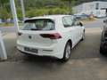 Volkswagen Golf Life 1,0 TSI  6-Gang Weiß - thumbnail 3