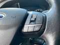 Ford Transit TRANSIT KASTEN 290 L2H2 TREND+KAMERA+PARKPILOT! Bianco - thumbnail 14