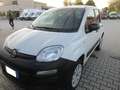 Fiat Panda 4x4 autocarro 2 posti Bianco - thumbnail 1