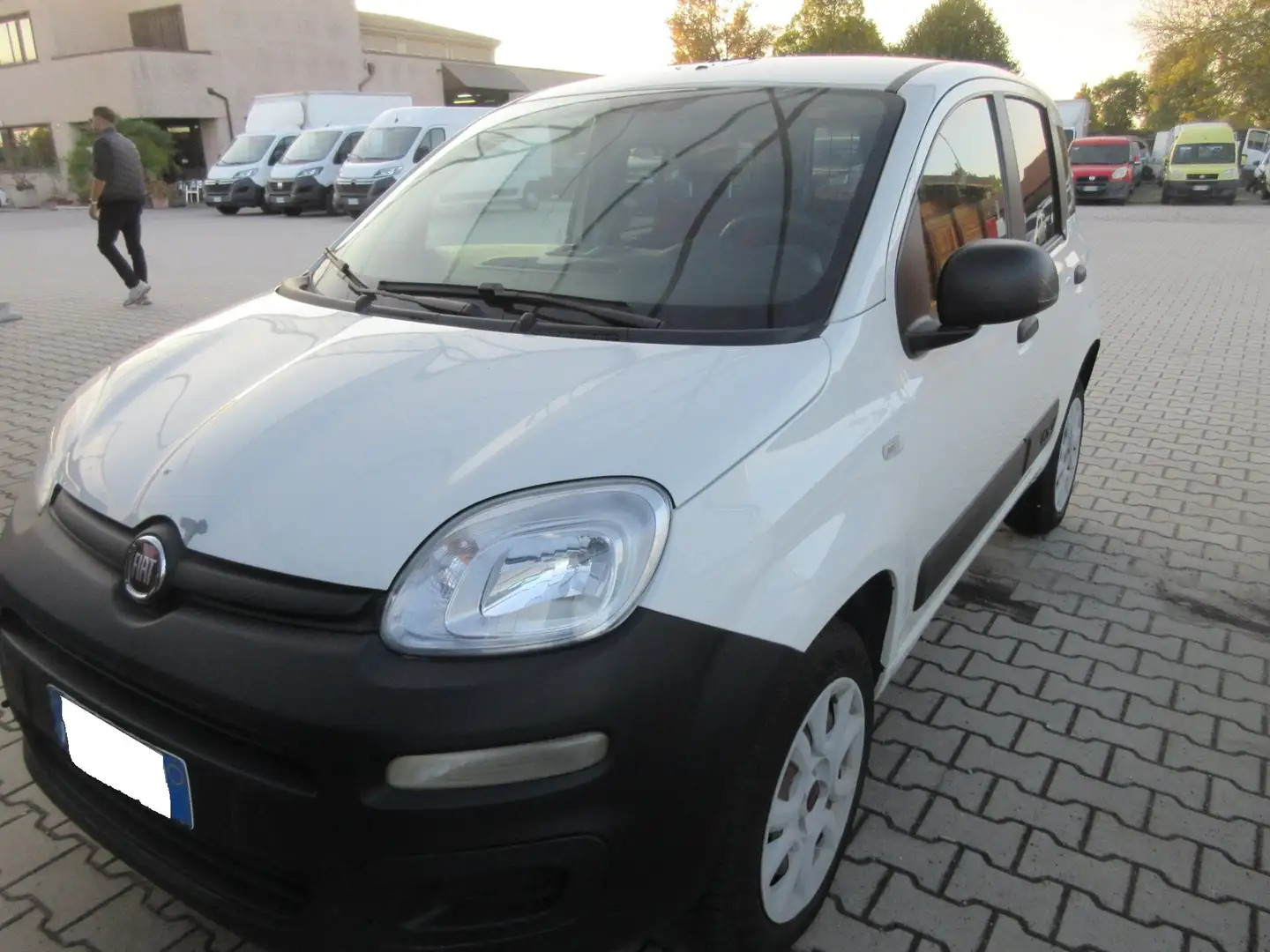 Fiat Panda 4x4 autocarro 2 posti Bianco - 1