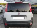 Fiat Panda 4x4 autocarro 2 posti Bianco - thumbnail 4
