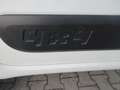 Fiat Panda 4x4 autocarro 2 posti Bianco - thumbnail 5