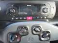 Fiat Panda 4x4 autocarro 2 posti Bianco - thumbnail 7