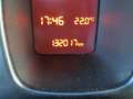 Fiat Panda 4x4 autocarro 2 posti Bianco - thumbnail 12