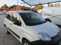 Fiat Panda 4x4 autocarro 2 posti Bianco - thumbnail 3