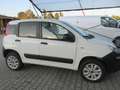 Fiat Panda 4x4 autocarro 2 posti Bianco - thumbnail 2