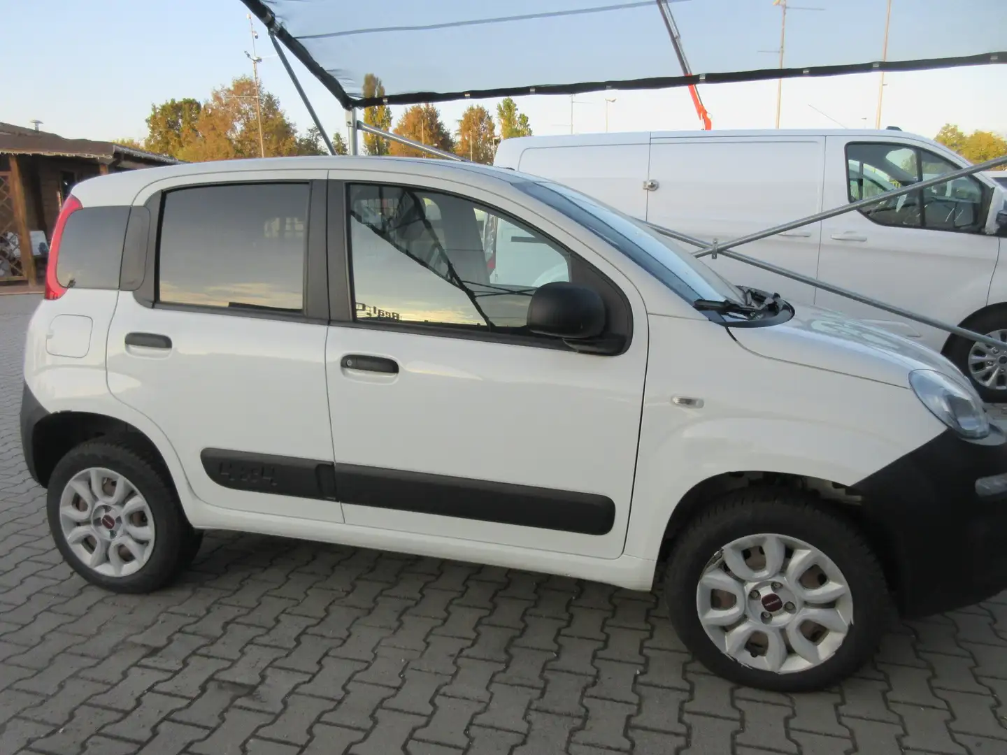 Fiat Panda 4x4 autocarro 2 posti Bianco - 2