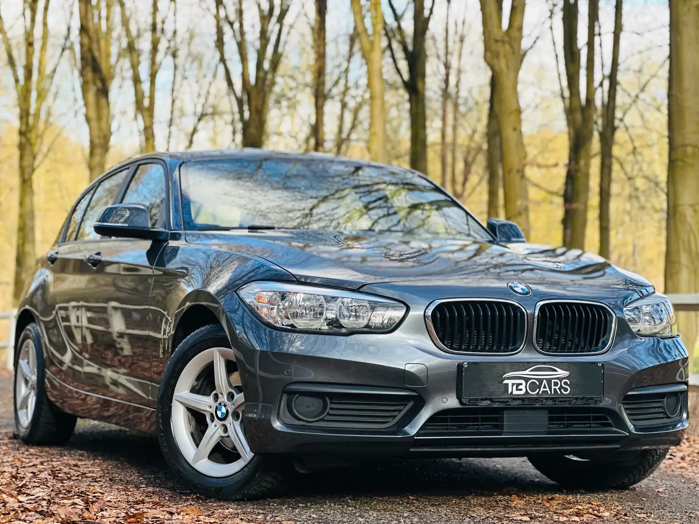 BMW 116 /// BOITE AUTOMATIQUE \\\ Gris - 2