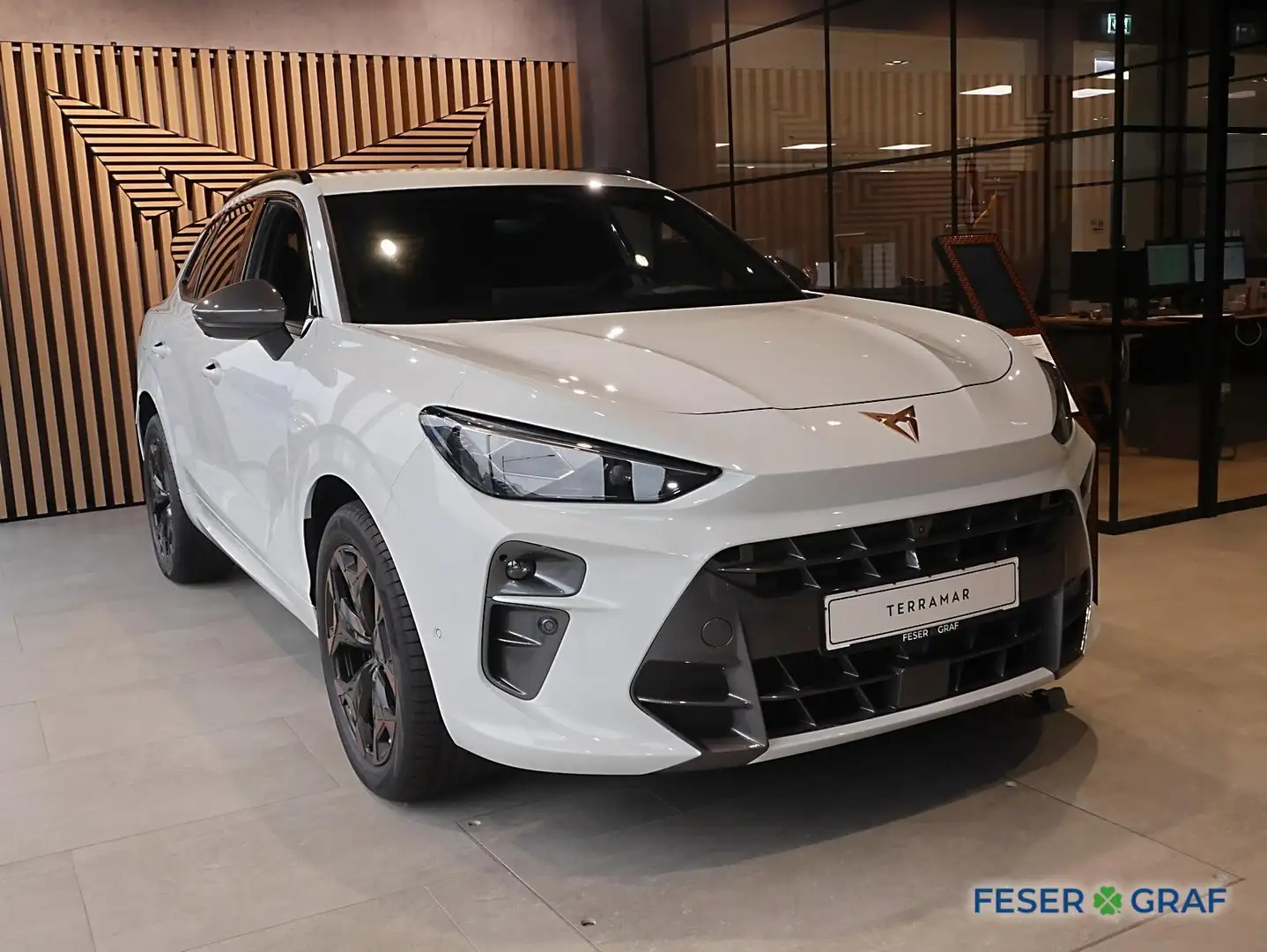 CUPRA Terramar 2.0 TSI 4Drive AHK,SHZ,LHZ Weiß - 2