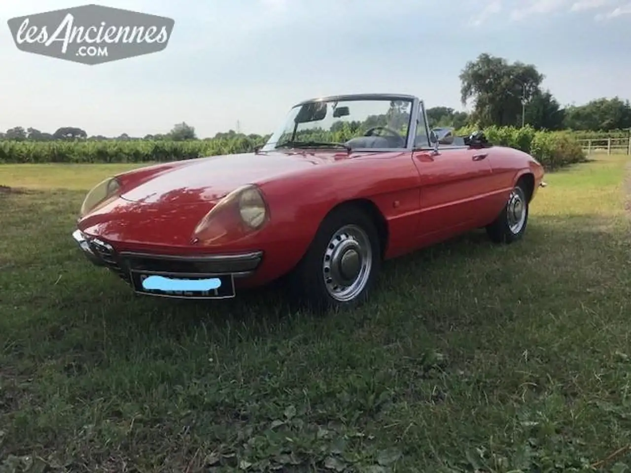 Alfa Romeo Spider Duetto 1750 Veloce, foto 2